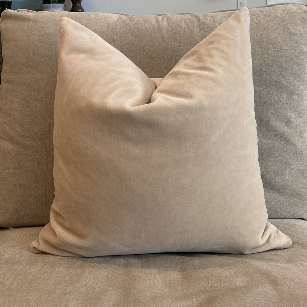 RH Italian Merino Wool Velvet Pillow Cover
